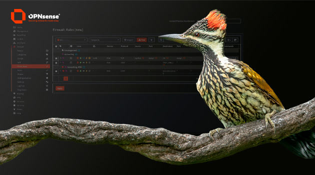 OPNsense® 26.1 ‘Witty Woodpecker’ Delivers smarter security, better visibility & stronger control